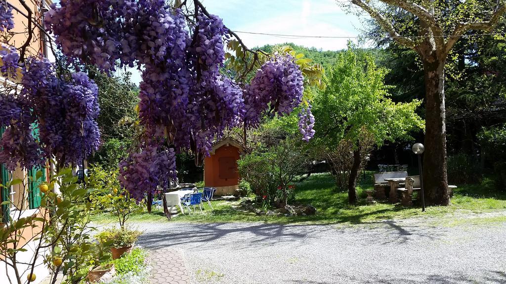 Villa Storica Calderino Monte San Pietro Eksteriør bilde